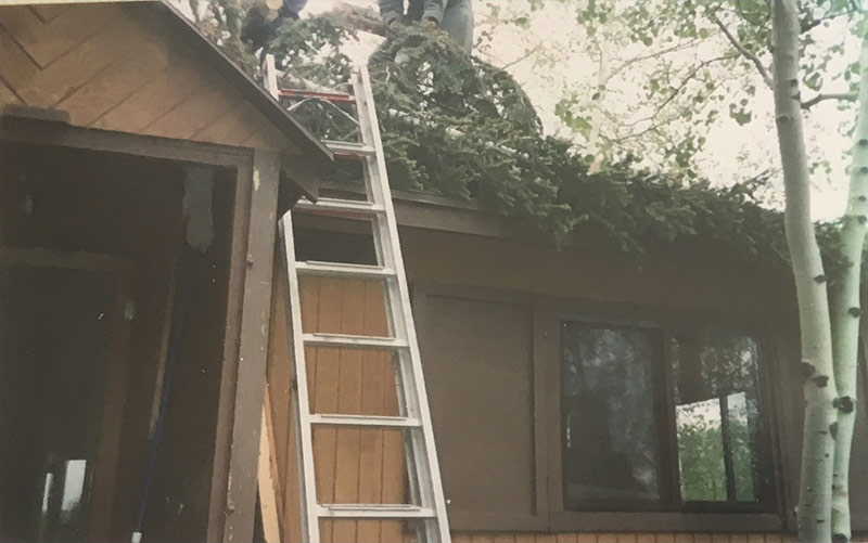 Bob & Glady Stum Cabin