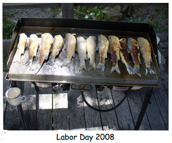 Blaine & Carol Hall Cabin 2008