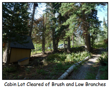 Blaine & Carol Hall Cabin Cleared